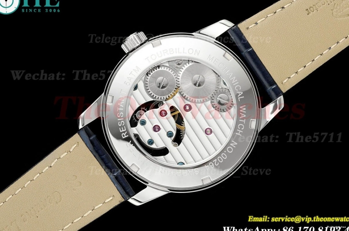 Sky Dial 42mm SS Complications Tourb RMSF LE Starry 0420